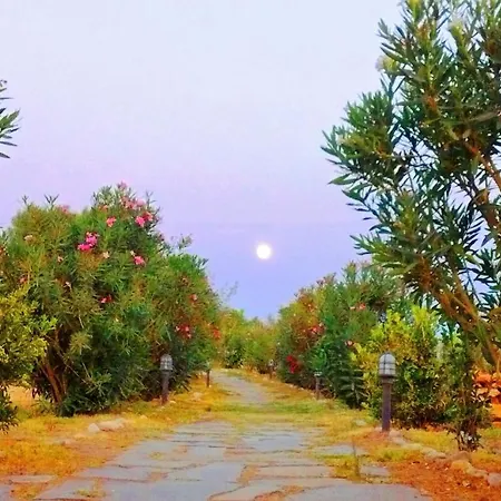 Hotel Faros Small And Restaurant 3*