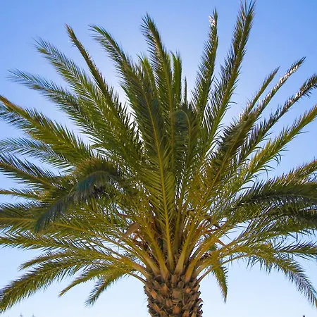 Hotel Faros Small And Restaurant