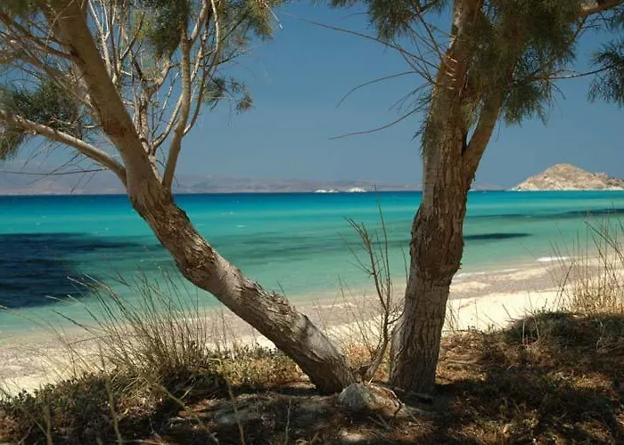 Faros Small And Restaurant Hotell 3*