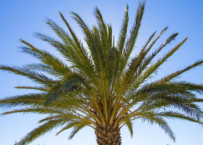 Hotell Faros Small And Restaurant